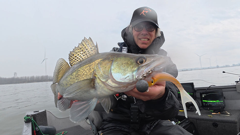 Zander auf Zand Slim gefangen