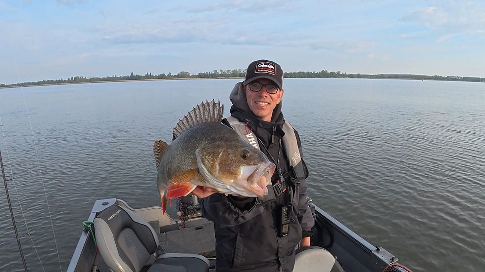 🎣 Op jacht naar baars: cranken met Spro op het Hollands Diep