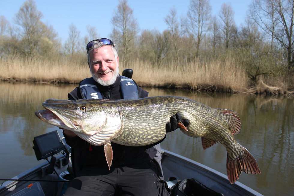 Gast van Lure Fishing Guide met gigantische Biesbosch snoek