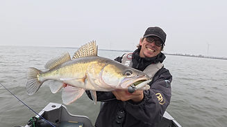Zander wird vom Boot aus am Hollands Diep gefangen und präsentiert