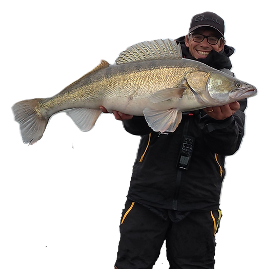 Thom Prüst mit einem kapitalen Hollands‑Diep‑Zander