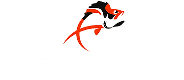 logo delalande