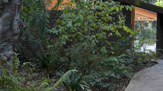 1426-07-Path-in-the-woods.jpeg