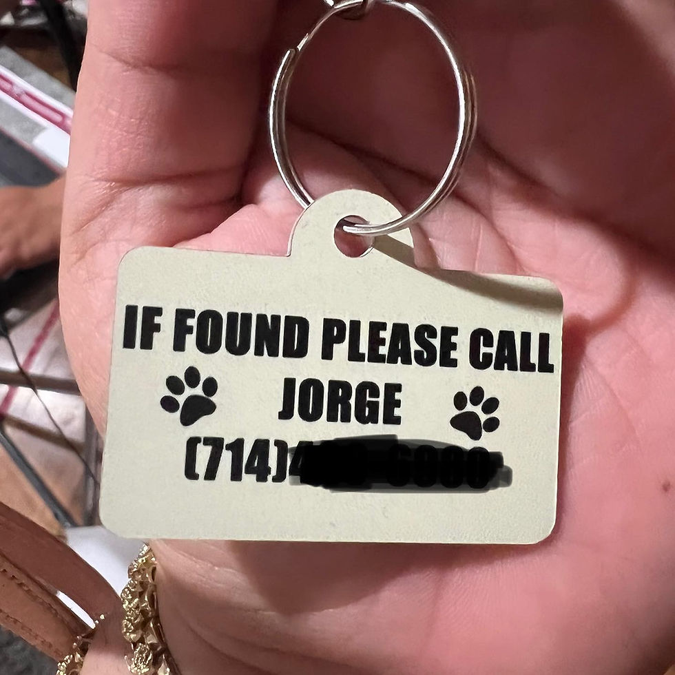Thumbnail: Pet tag, California identification pet tag for collar 