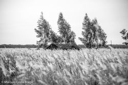 _MSB3440