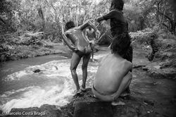_MSB3555