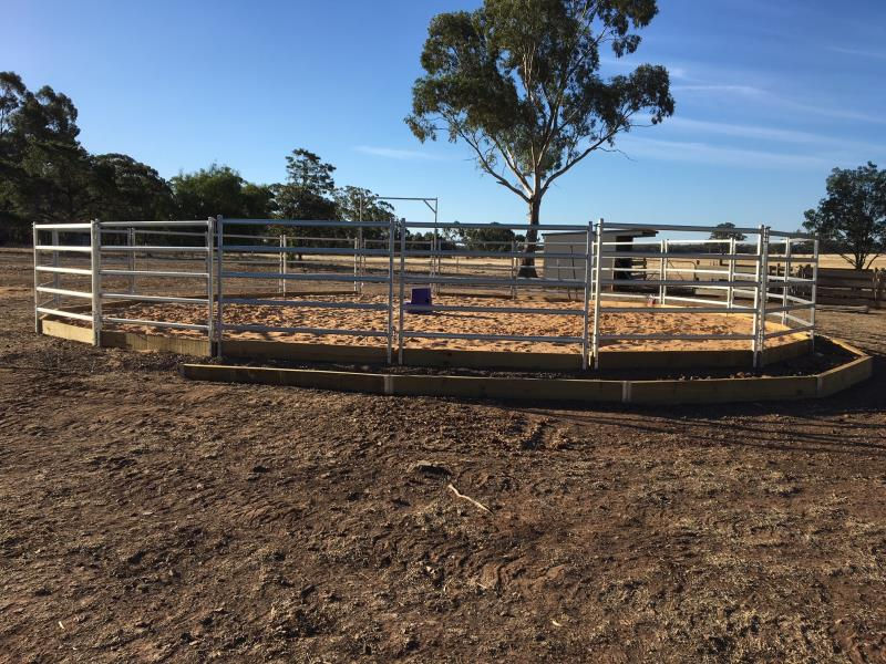 Thumbnail: HORSE PANEL