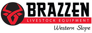 Brazzen Big Sky Country Logo.jpg