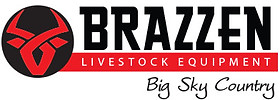 Brazzen Big Sky Country Logo.jpg
