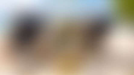 BC Låsservice AB sommarens öppettider