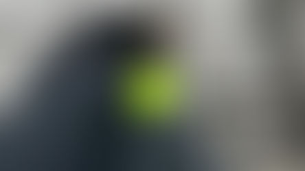 Träflisa, kissekatt och Axema sammanfattar vår måndag