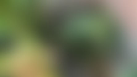 En uppdatering innan helgen