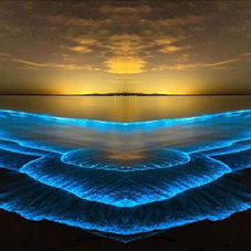 reprogram the subconscious mind with biofeedback bioresonance therapy vaccine long covid detox
Raising the Christ Oil within Irish Bible Daoism sacred geometry