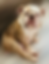 5188EDB0-202E-4E3F-9BF9-47B6B290621F