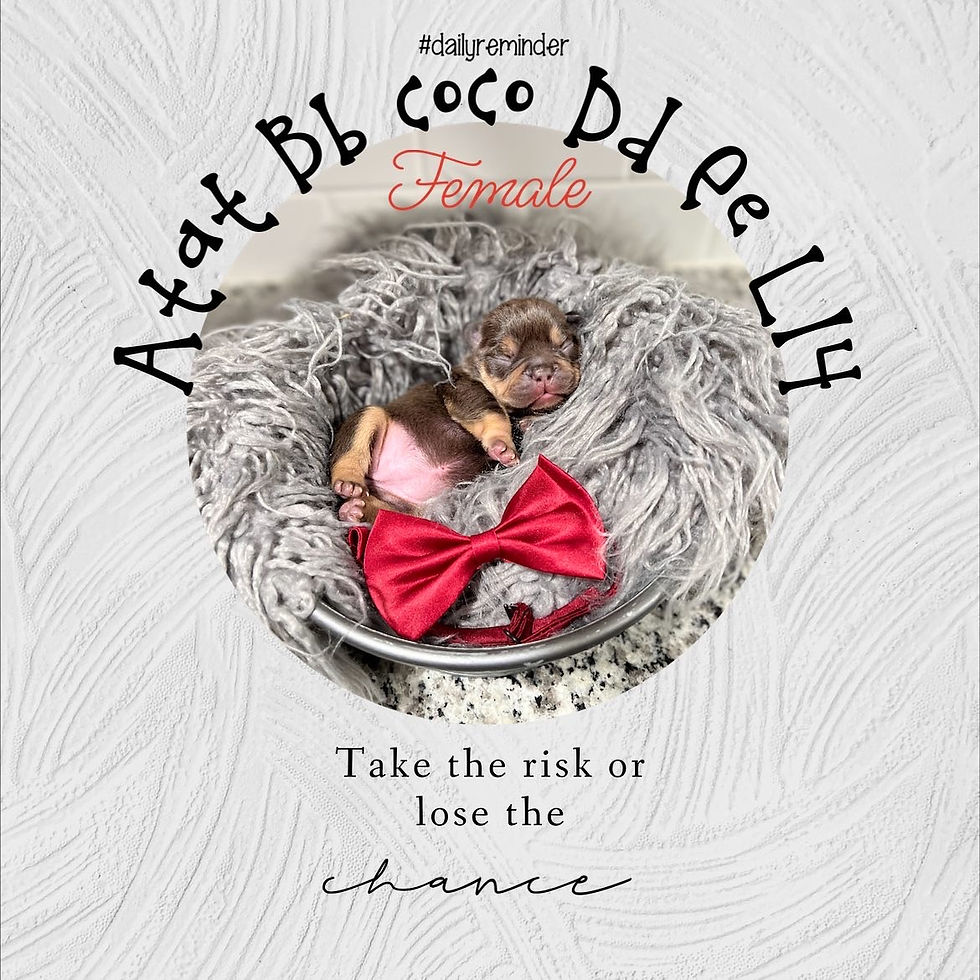 0162A91F-6C02-4425-8ECA-28FC97C1CAE4