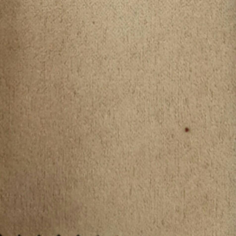 Arca 502