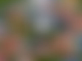 Jusqu’au 20 juillet, la compagnie propose une expérience de télévision en direct sur les écrans intégrés aux sièges à bord de près de 150 avions équipés de Starlink, grâce au service Wi-Fi en vol le plus rapide et le plus fiable au monde. 