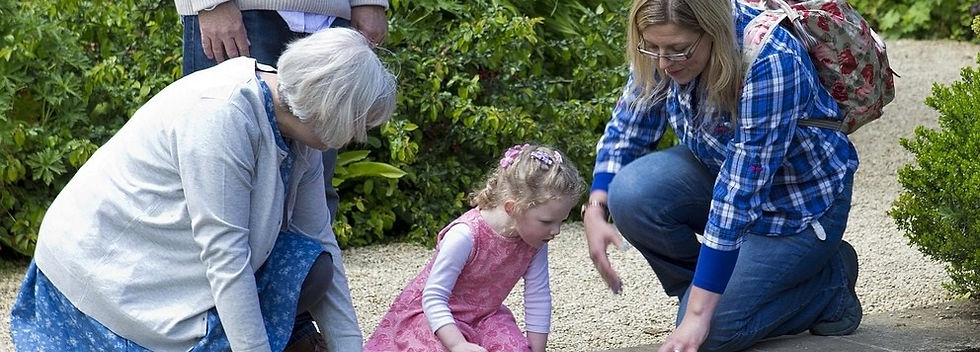 lilly-pond-Image par Ron Porter de Pixabay-vs.jpg