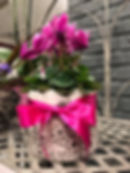 Fleurs Colson