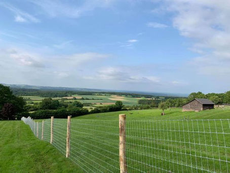 Clôture chevaux : pourquoi éviter absolument le fil barbelé ?