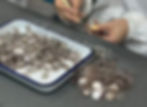 Making the mica