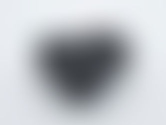 GEN-300B Update #8: COPULA and the 300B Tubes