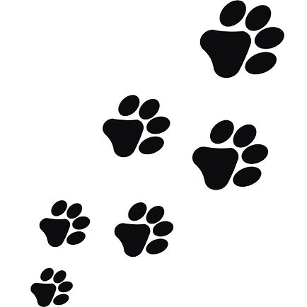 Logo (10).png
