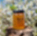 20220416_115534_edited_edited.jpg
