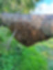 20220507_164300_edited.jpg