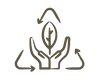 7.png