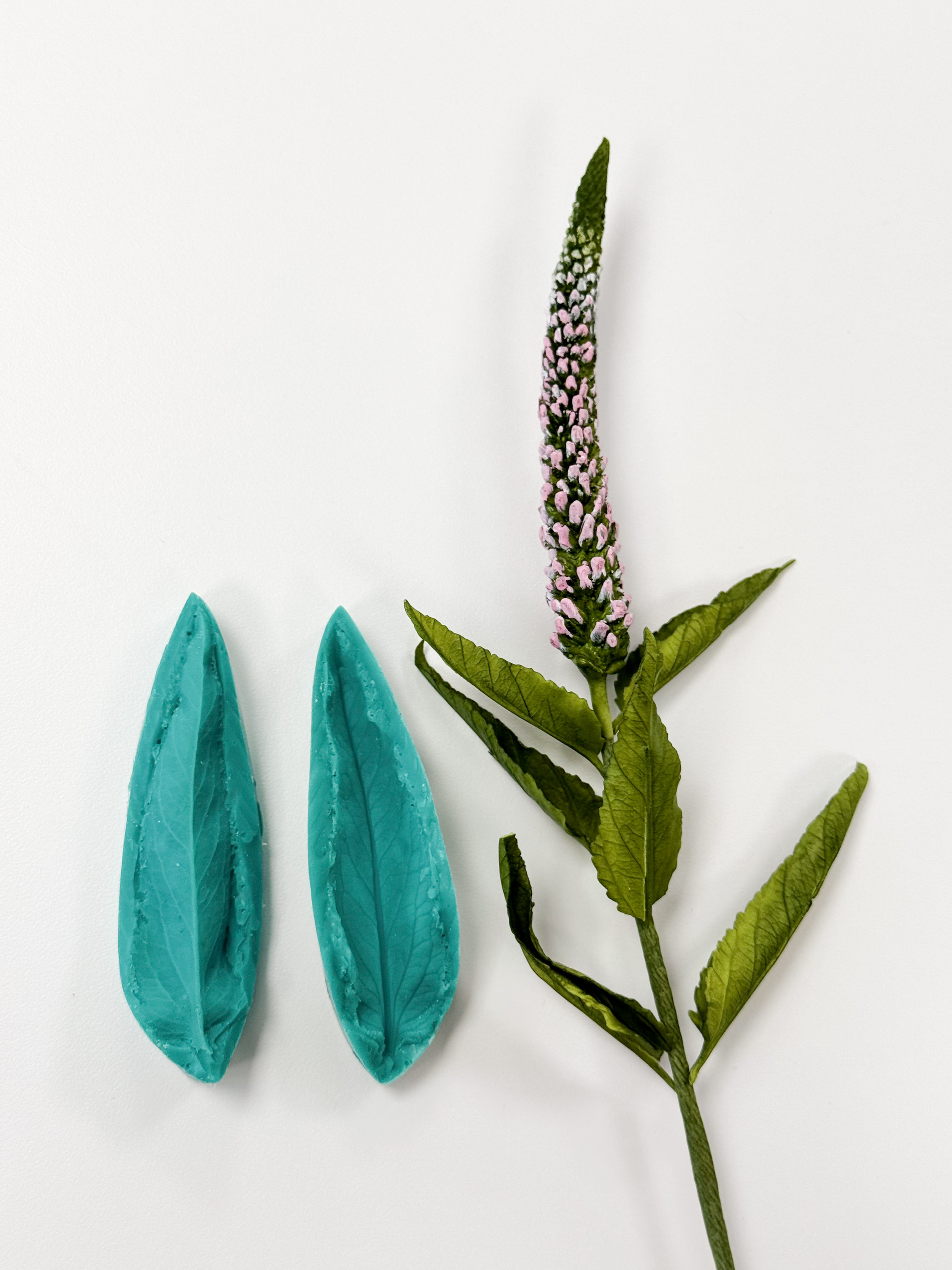 Veronica Leaf Veiner