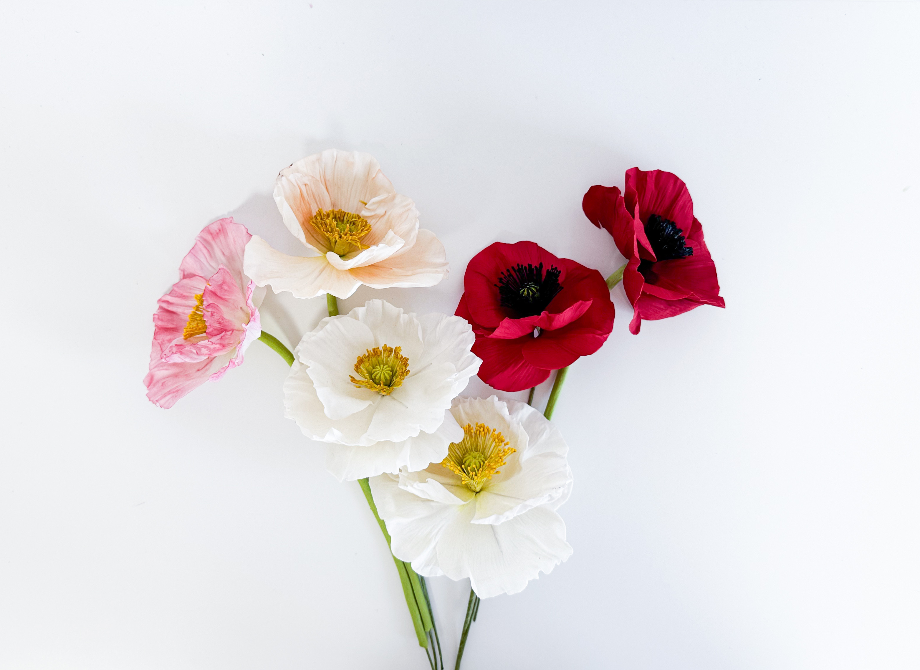The Poppy Collection | cakes-n-crafts