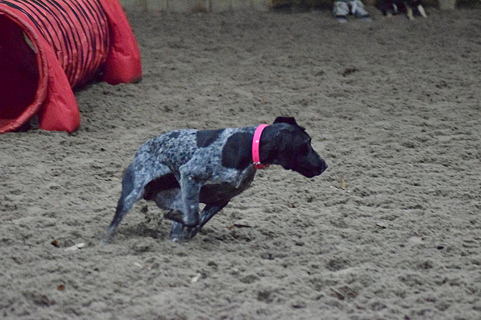 Ruby