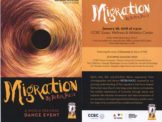 FREE Performance: Migration by Peter Pucci at CCBC Essex