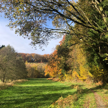 Warum Wandern?