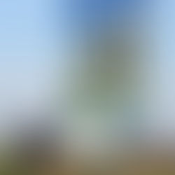 Boliger på Fuglsangnæs