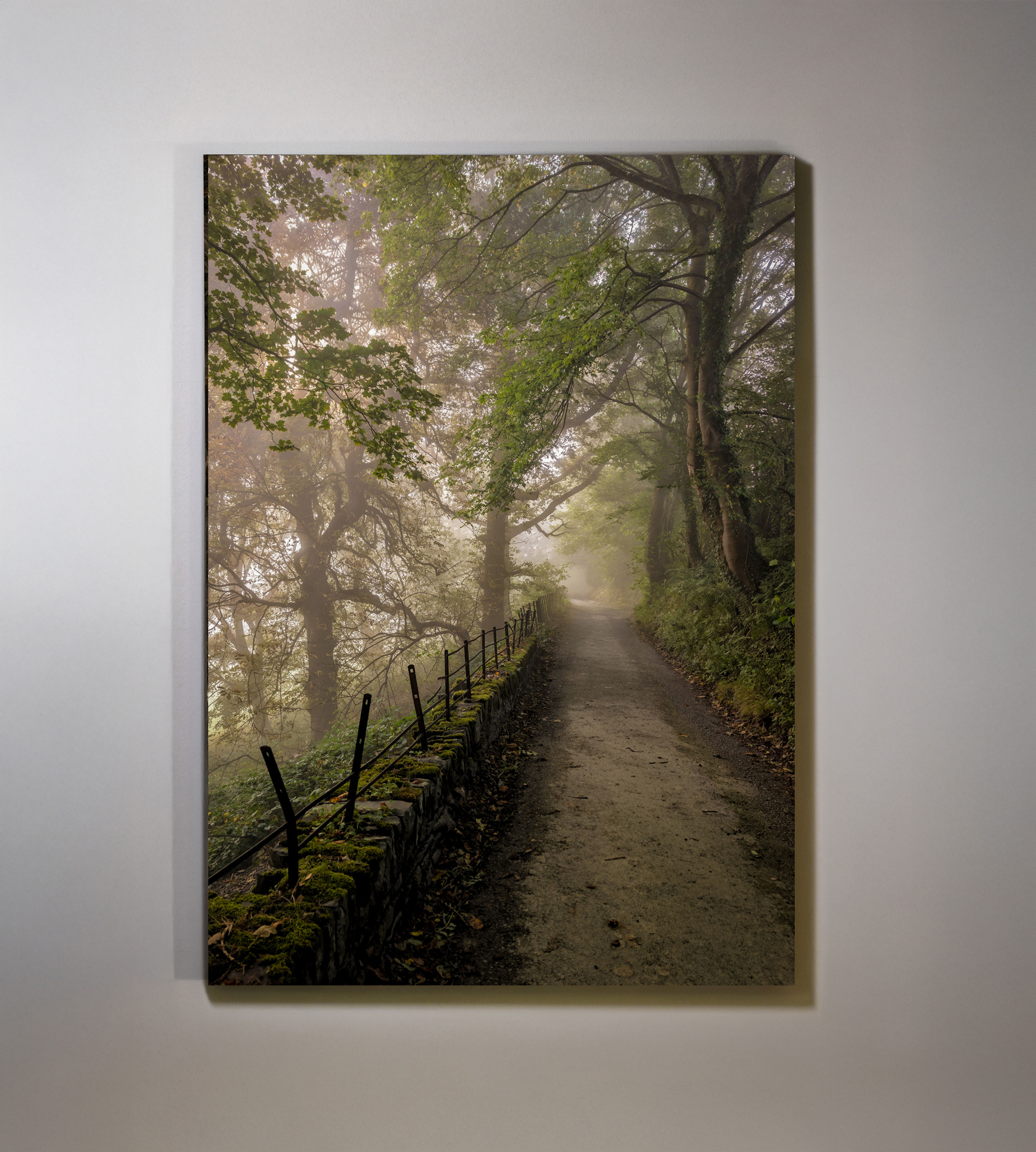Willow Street - Llangollen