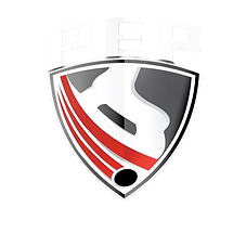 ice-hockey-power-edge-pro-hockey-training-logo-erie-others-removebg-preview.png