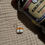 Miniaturbild: Maschenmarkierer Sushi