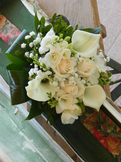 DSCN5812.JPG