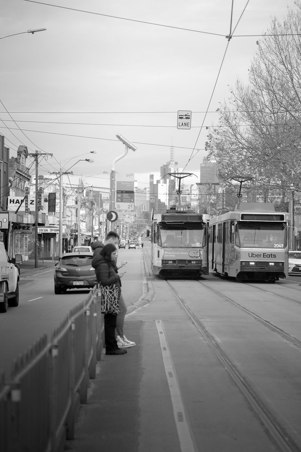 melB-W-3.jpg