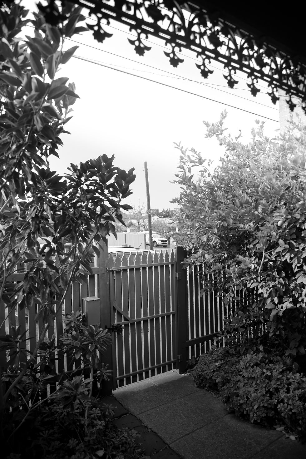 melB-W-2.jpg