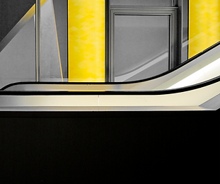 Lyn Sullivan Photography