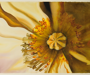 Jennifer Aden Watercolours