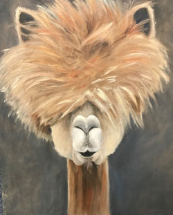 Llama (oil).jpeg