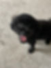 Jasper.jpeg