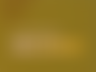 Arrangementer i december