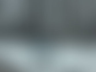 The Old Grove Christmas Tree Farm