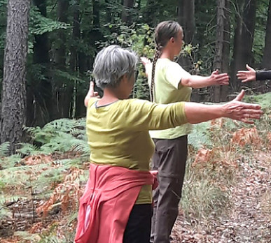 Gesundheitswanderung im Naturpark Hessischer Spessart
