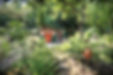 Kräuter-Schrebergarten in Weimar
